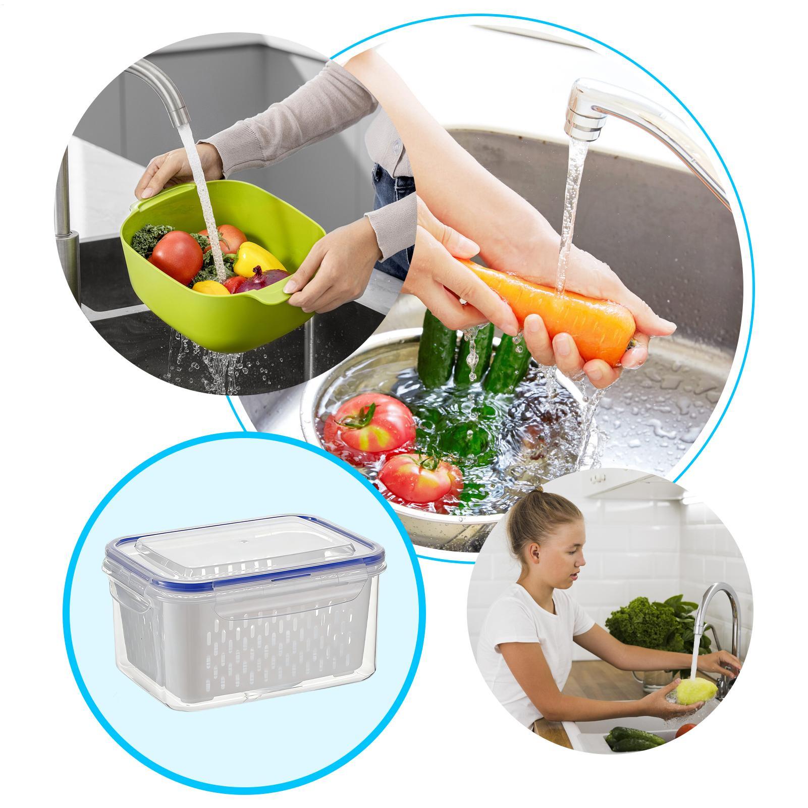 حاوية تخزين طعام 4 في 1، منظما - مراجعة Food Storage Plastic Container وسعره