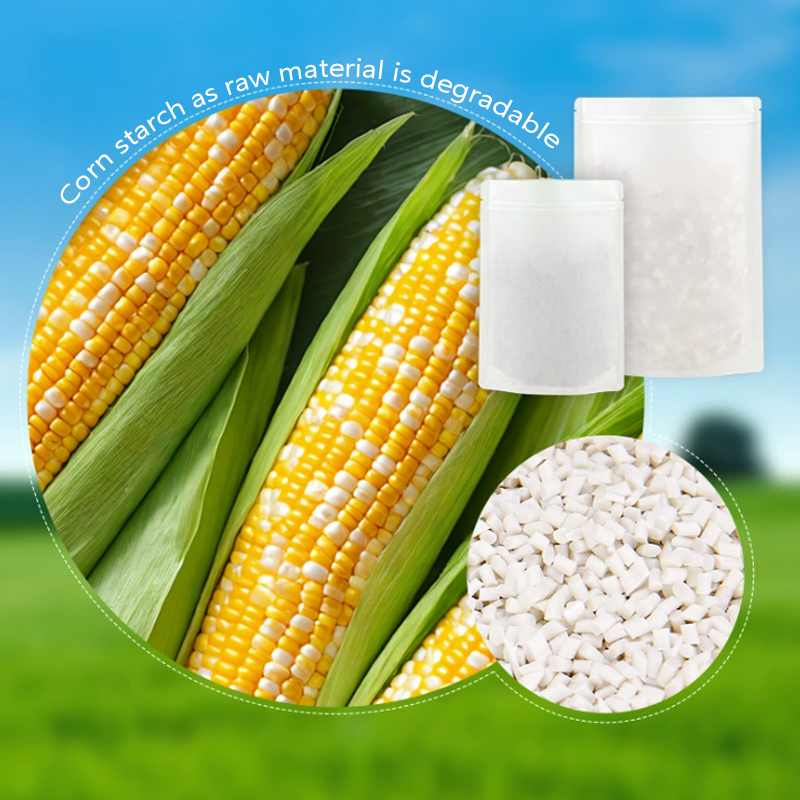 أكياس ورق الكرافت القابلة للتح - مراجعة Food Storage In Plants وسعره