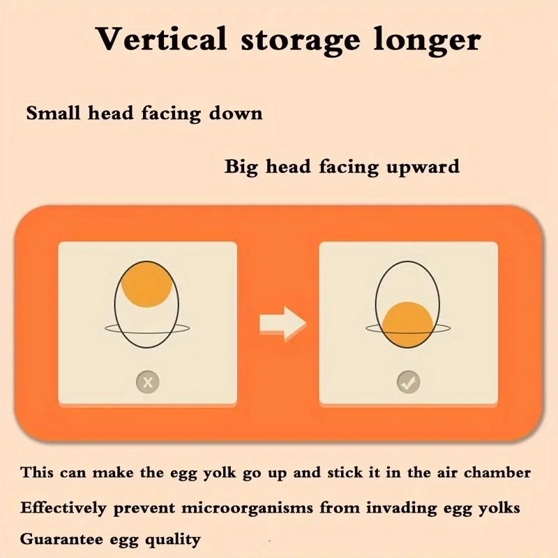 صندوق تخزين البيض للمطبخ، منظم - مراجعة Egg Storage Holder وسعره